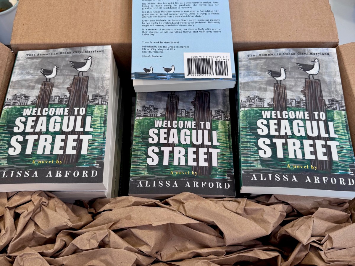 Welcome to Seagull Street is Available via POD at&nbsp;IngramSpark