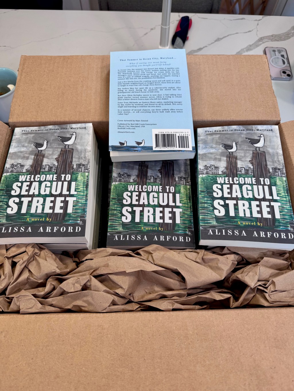 Welcome to Seagull Street - Print On Demand