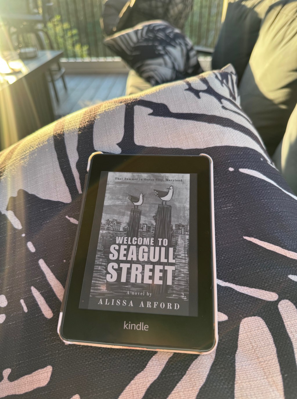 Kindle Version of Welcome to Seagull Street
