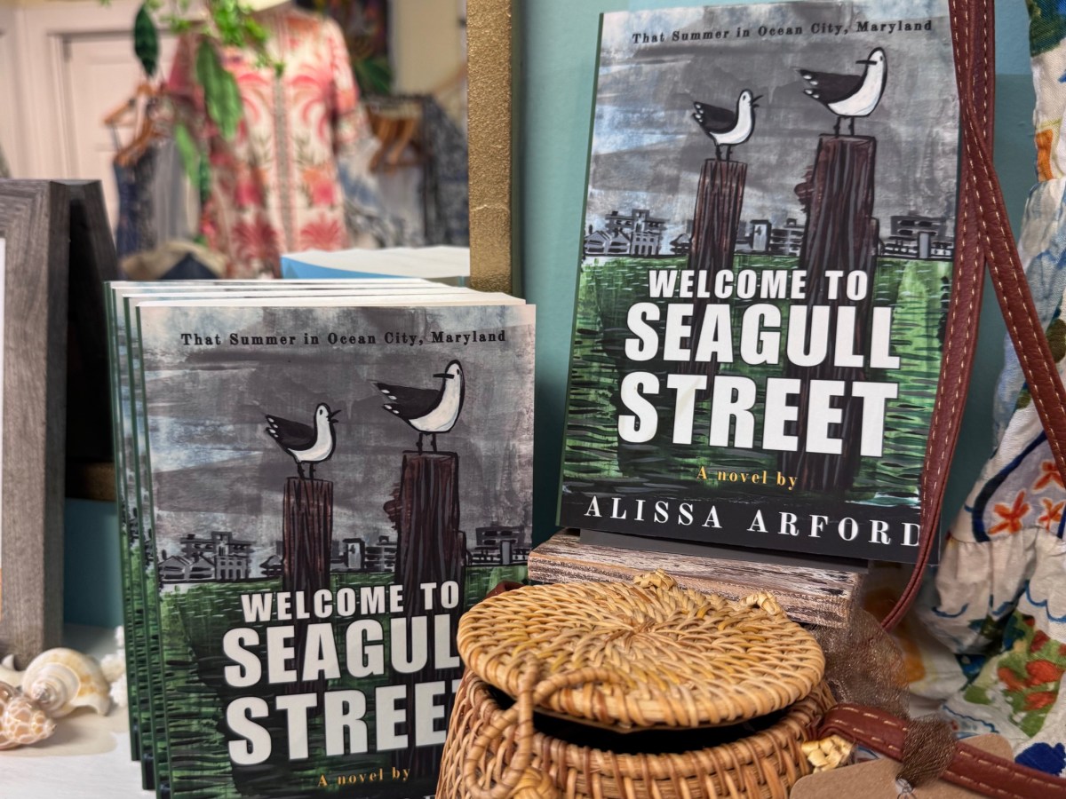 Beach Book Launch&nbsp;Weekend