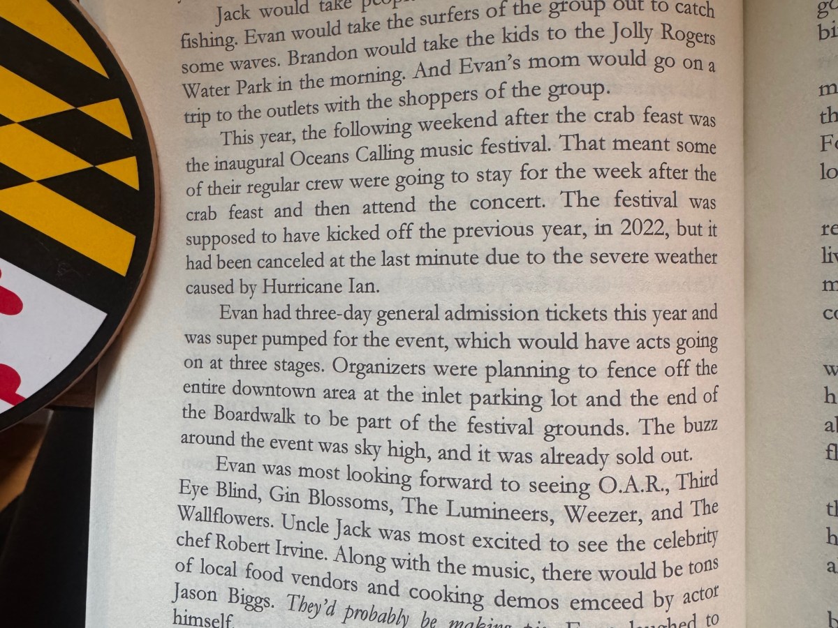 The Soundtrack of Welcome to Seagull&nbsp;Street