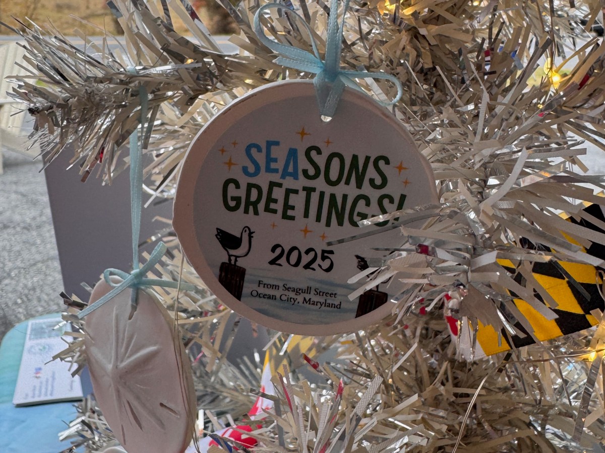 SEAsons Greetings from Seagull&nbsp;Street!