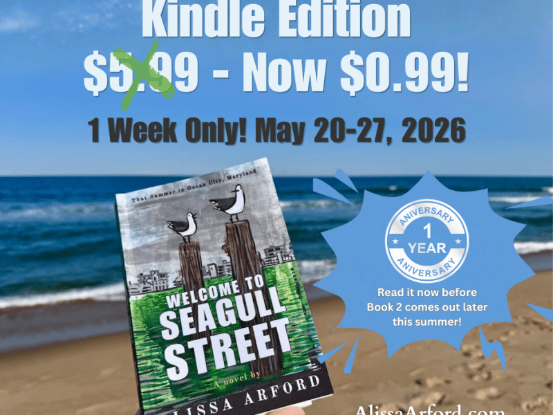 One Year on Seagull&nbsp;Street