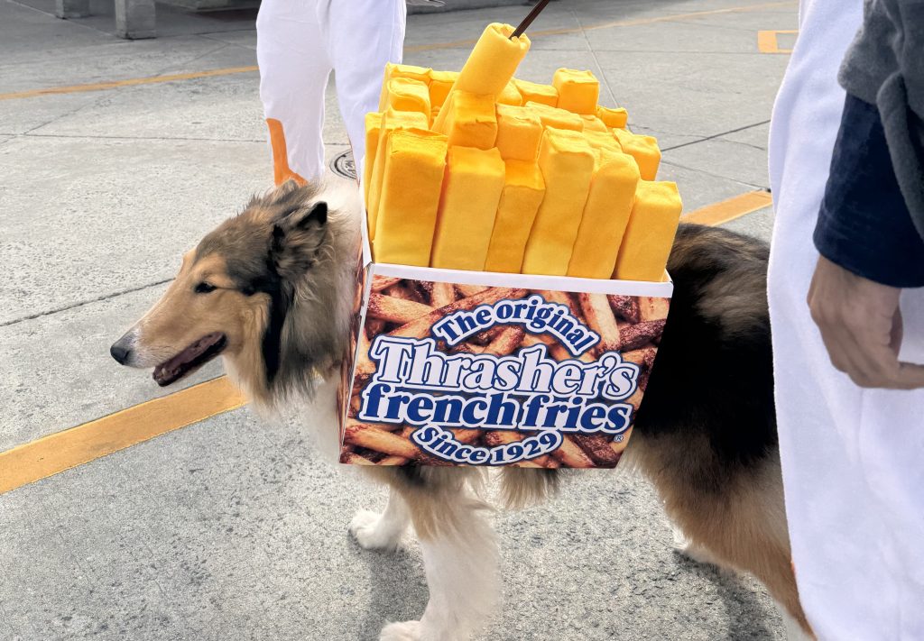 Luna as Thrasher's French Fries!